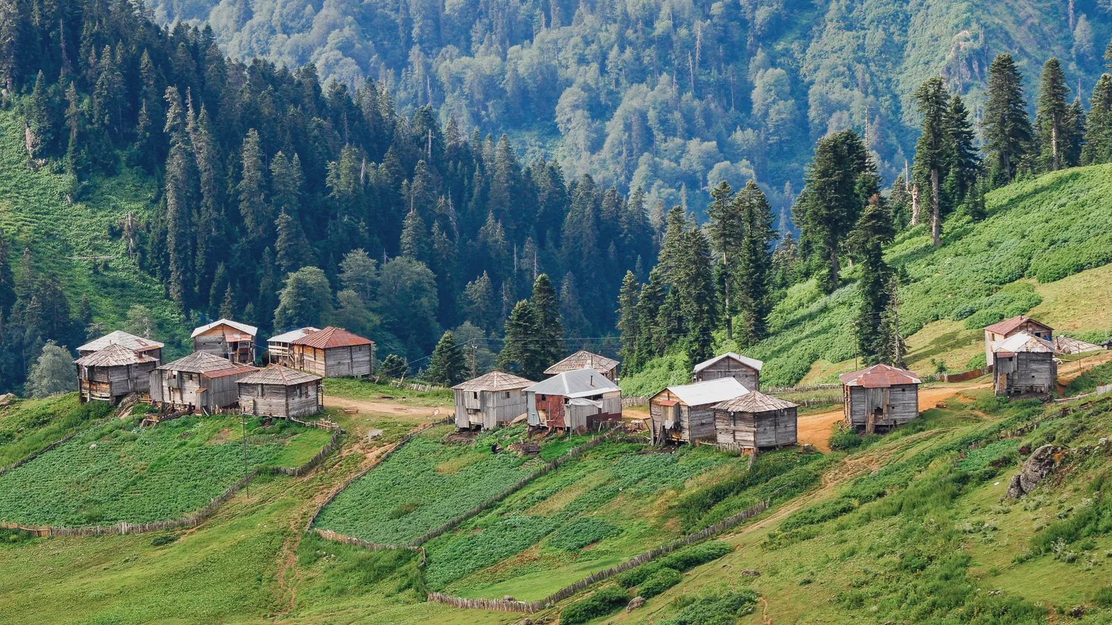 Батуми - Гомис Мта